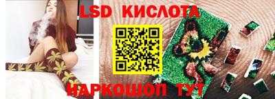 прущие грибы Абакан