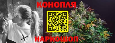 прущие грибы Абакан