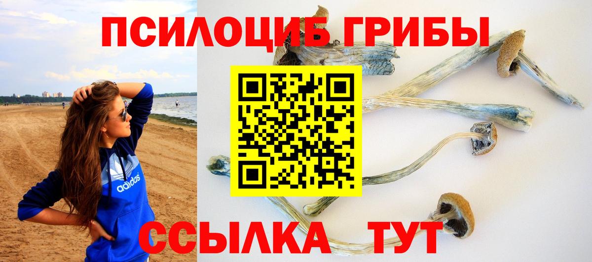 Апатиты  Галлюциногенные грибы Psilocybine cubensis  Псилоцибиновые грибы ЛСД  хочу наркоту  Вход с VPN 